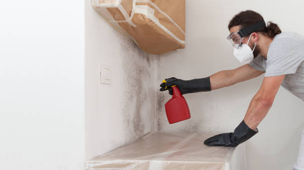 Professional Bathroom Mold Removal technician working in Hunt Valley, MD