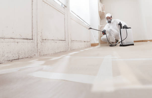 24/7 Emergency Bathroom Mold Removal experts in Hunt Valley, MD